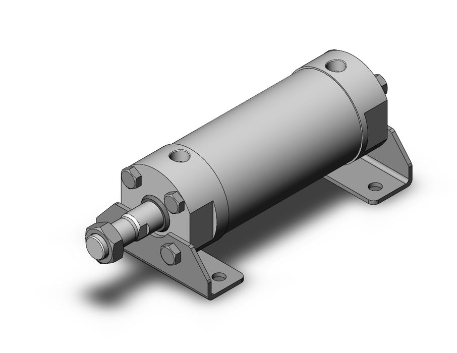 CG5LN80SV-100 CG5, Stainless Steel Cylinder
