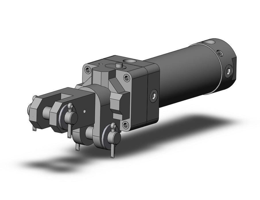 CLK2GA32TN-50Y-B Clamp Cylinder with Lock