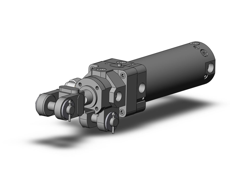 CLK2GA50-100Y-F3 Clamp Cylinder with Lock
