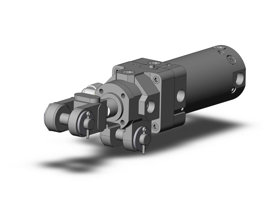 CLK2GA50-50Y-F3 Clamp Cylinder with Lock