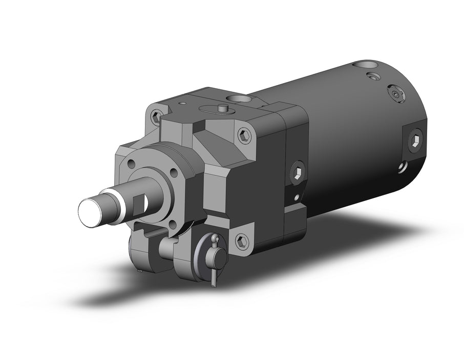 CLK2GA63-50-B Clamp Cylinder with Lock