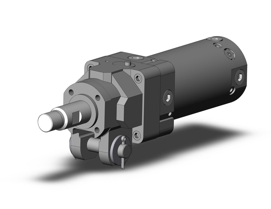 CLK2GB50TN-50-B2 Clamp Cylinder with Lock