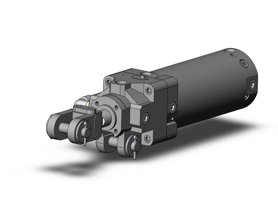 CLK2GB63TN-100YA-F Clamp Cylinder with Lock