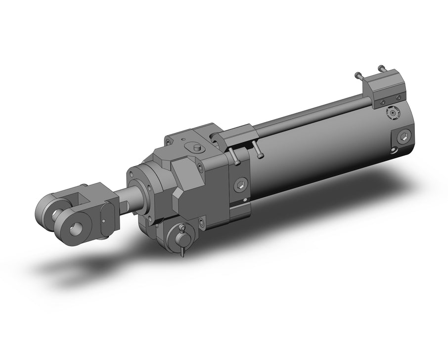 CLK2PA50TF-100Y-B-P79WSE Clamp Cylinder with Lock