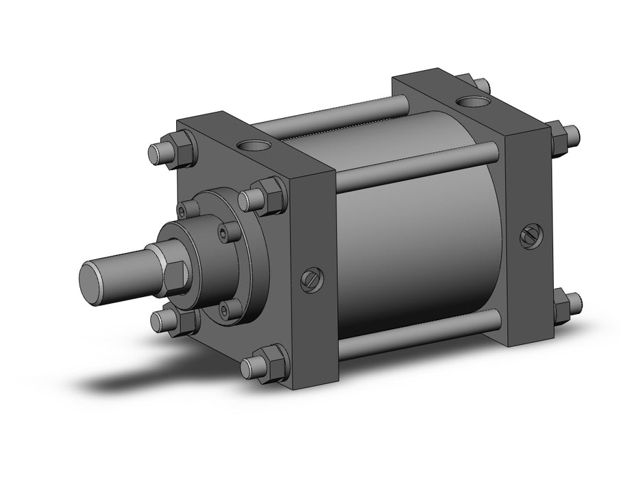 CS1B125-100 CS1 Cylinder