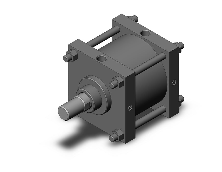 CS1BN200-100 CS1 Cylinder