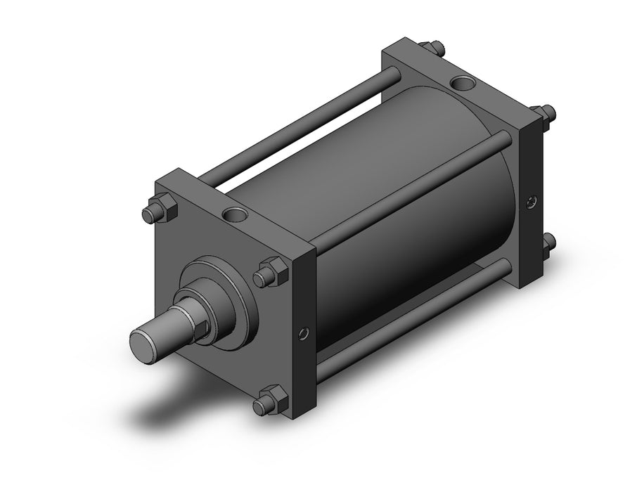 CS1BN200-300 CS1 Cylinder