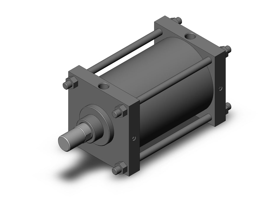 CS1BN250-300 CS1 Cylinder