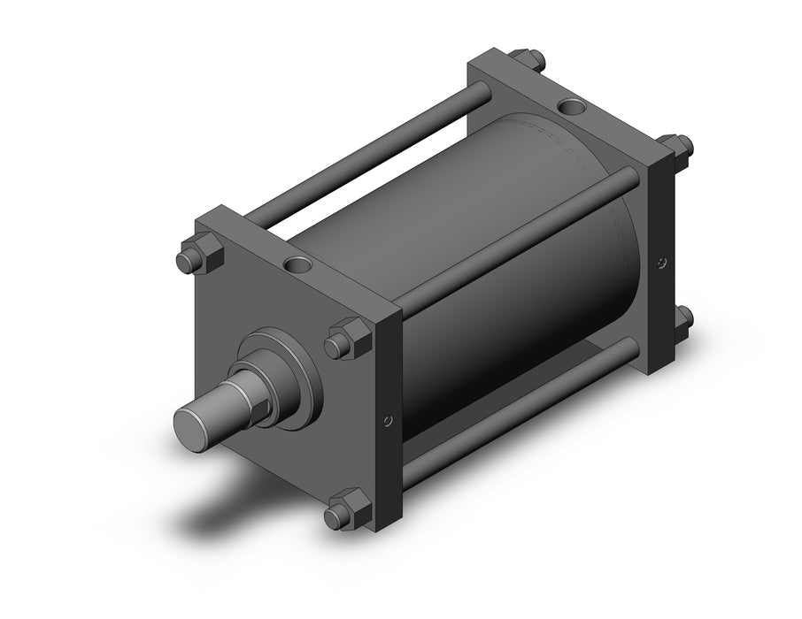 CS1BN300-400 CS1 Cylinder