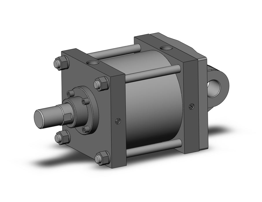CS1C250TN-150 CS1 Cylinder