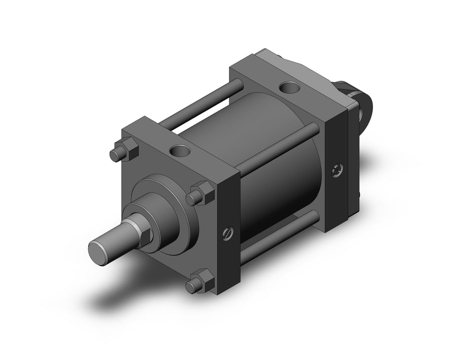 CS1CN125-100 CS1 Cylinder
