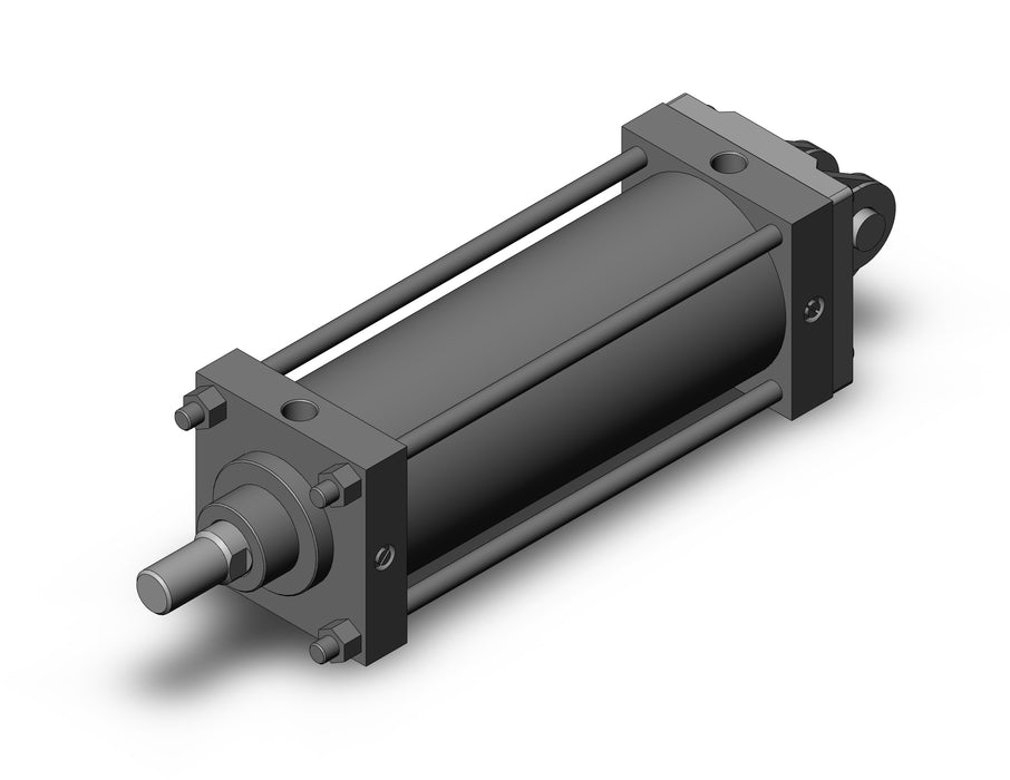 CS1DN125-300 CS1 Cylinder
