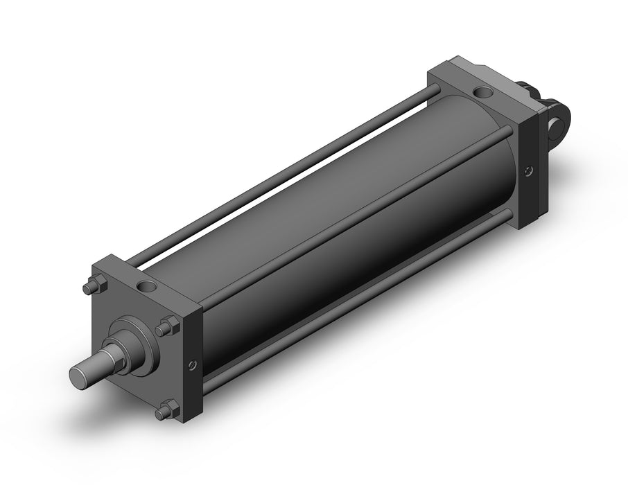 CS1DN160-600 CS1 Cylinder