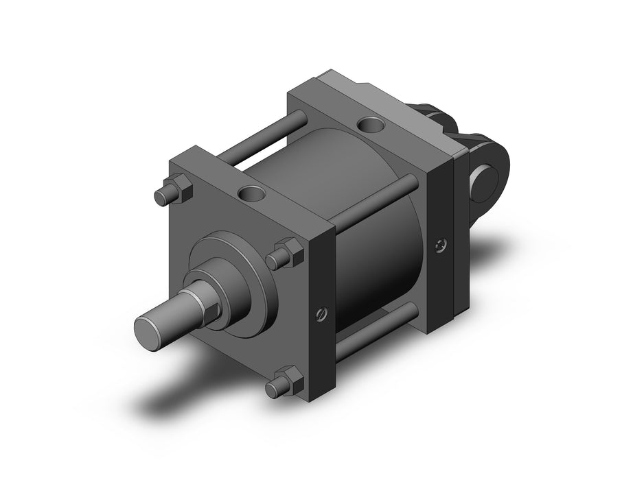 CS1DN180-100 CS1 Cylinder