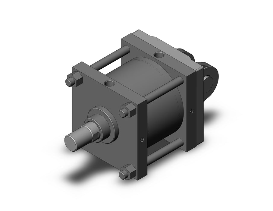 CS1DN300-150 CS1 Cylinder