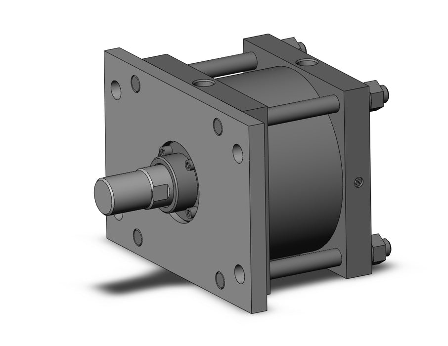 CS1F300-100 CS1 Cylinder
