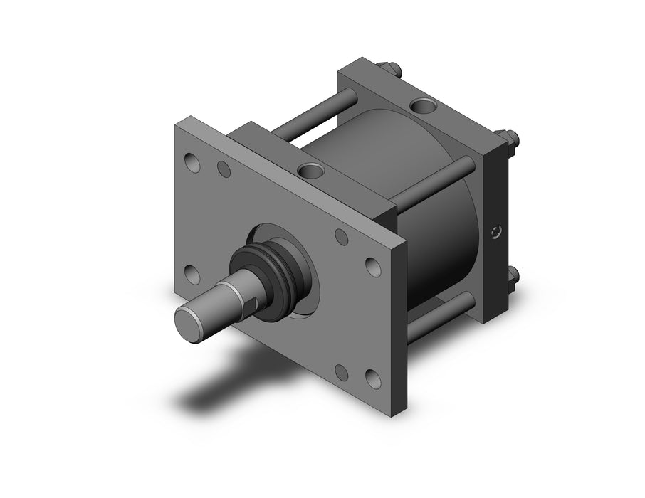 CS1FN200-100J CS1 Cylinder