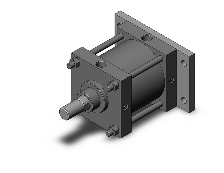 CS1GN160-100 CS1 Cylinder
