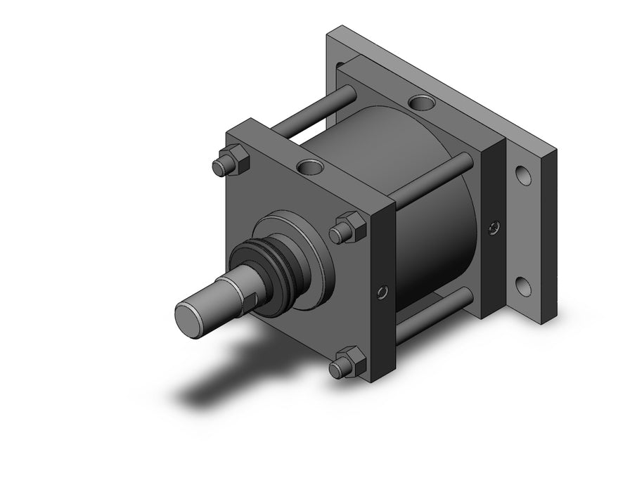 CS1GN200-100J CS1 Cylinder