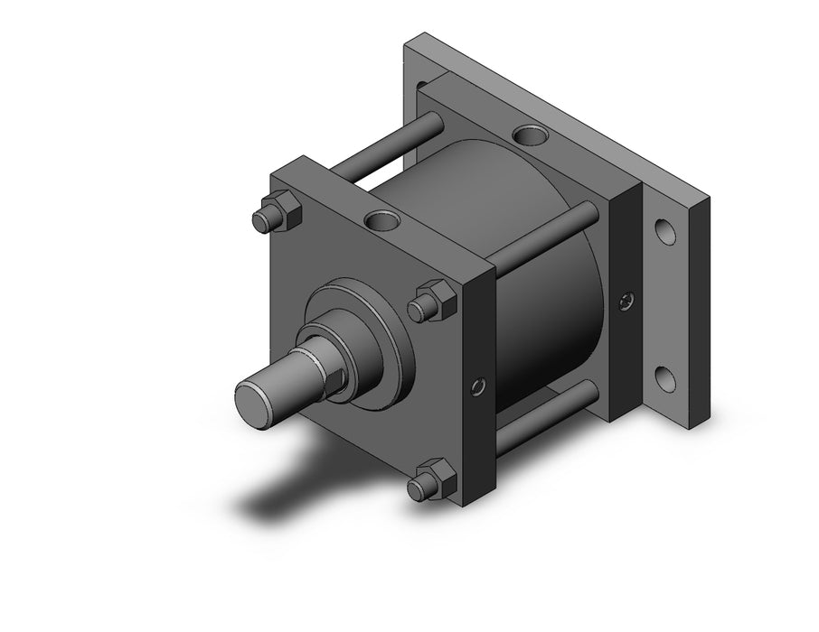 CS1GN200-100 CS1 Cylinder