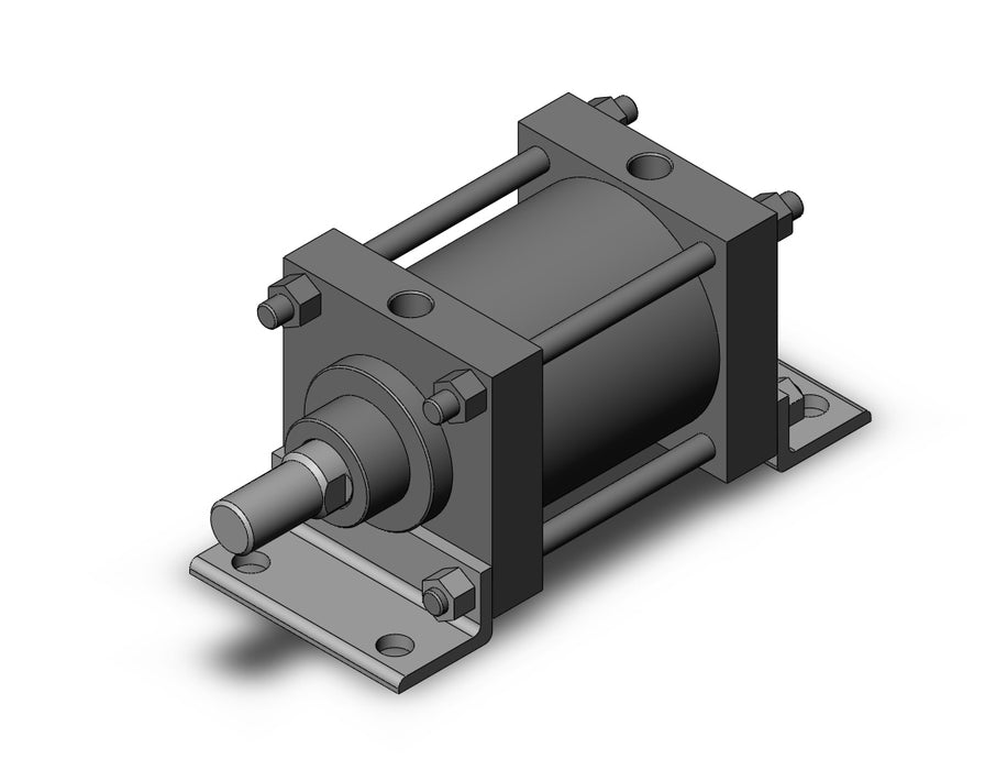 CS1LN125-100N CS1 Cylinder