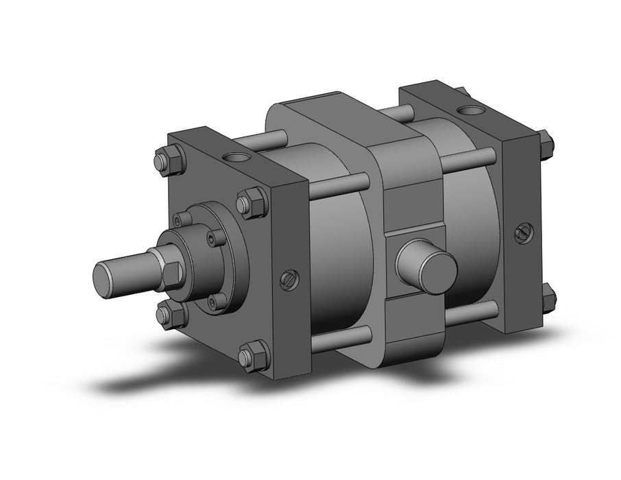 CS1T140-150 CS1 Cylinder
