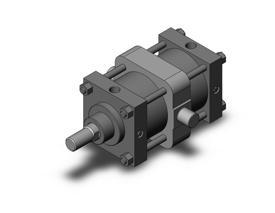 CS1TN125-150 CS1 Cylinder