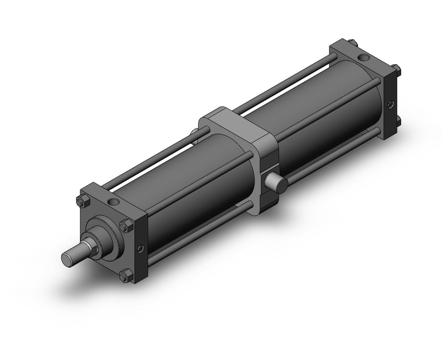 CS1TN125-600 CS1 Cylinder