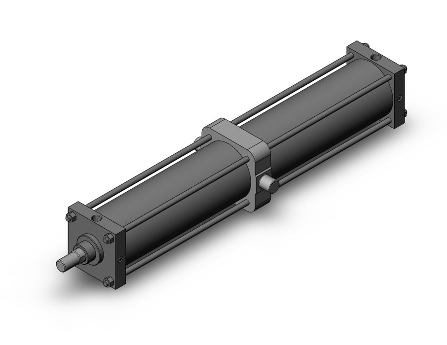 CS1TN160-1000 CS1 Cylinder