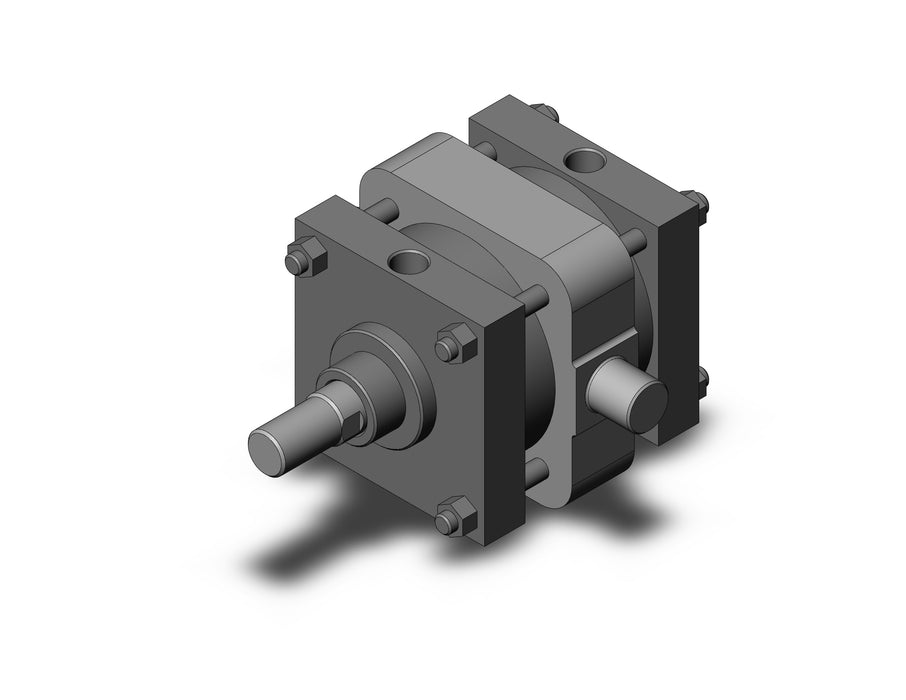 CS1TN160-100N CS1 Cylinder
