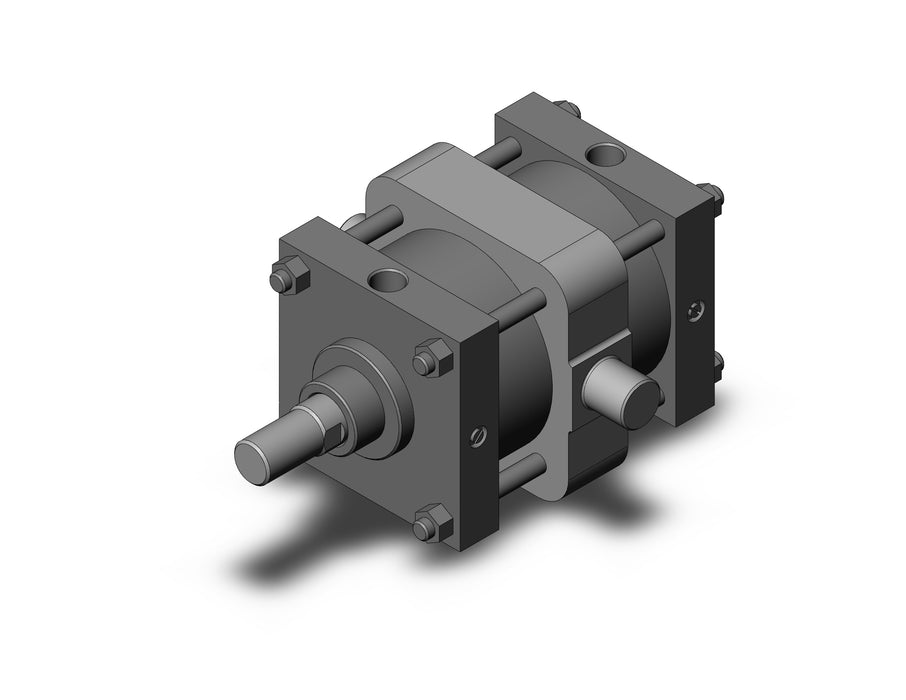 CS1TN160-150 CS1 Cylinder
