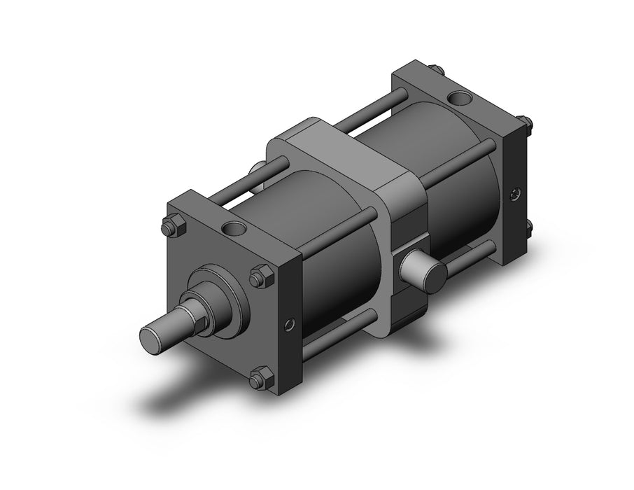 CS1TN160-300 CS1 Cylinder