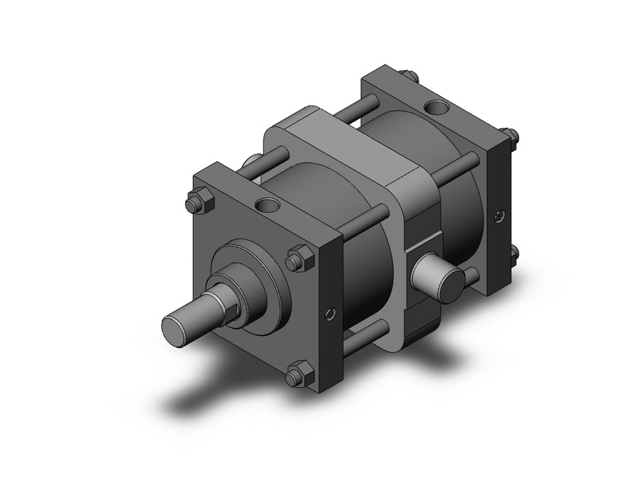 CS1TN180-200 CS1 Cylinder