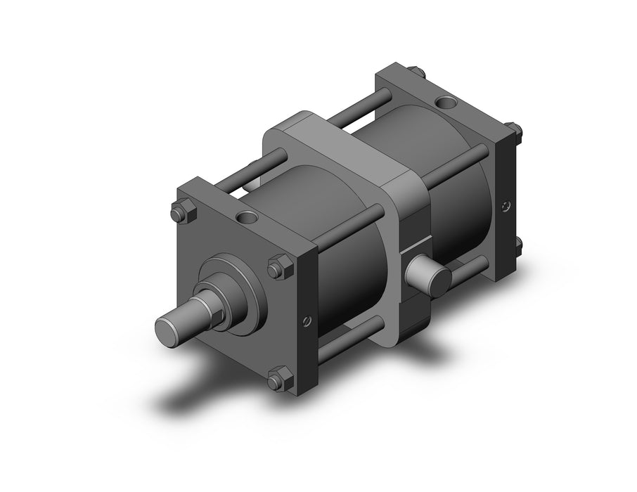 CS1TN200-300 CS1 Cylinder