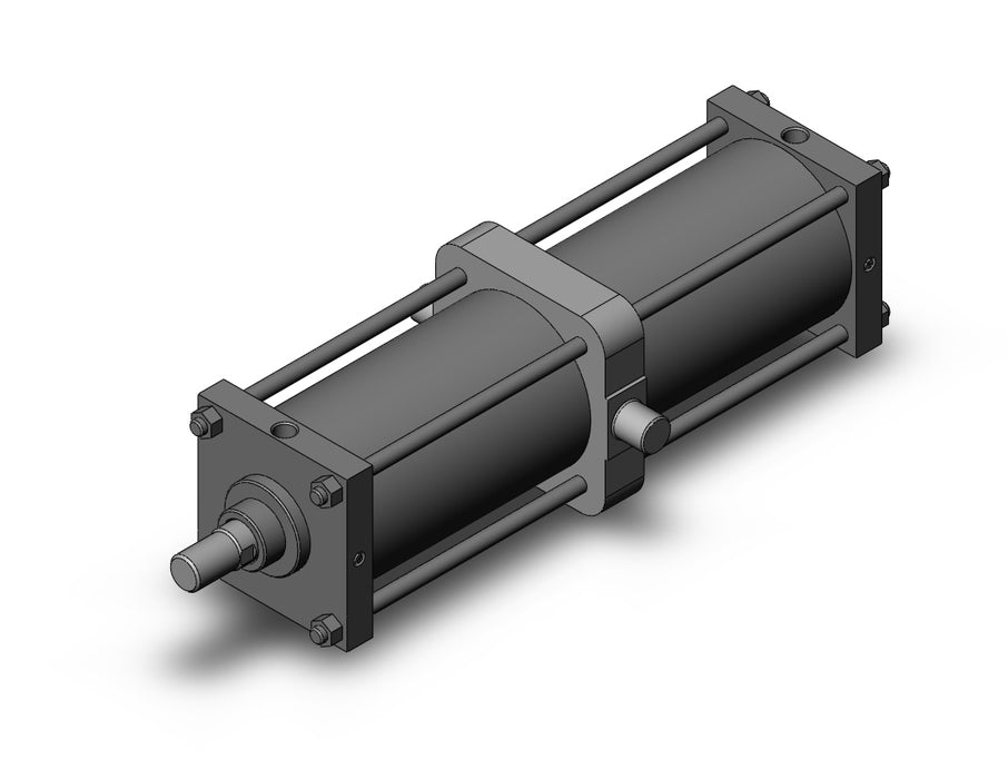 CS1TN200-700 CS1 Cylinder