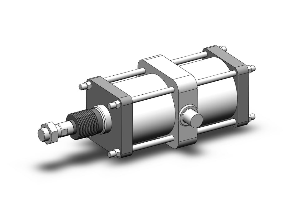 CS2T160-300J-XC3DD Cylinder, Tie Rod, CS2