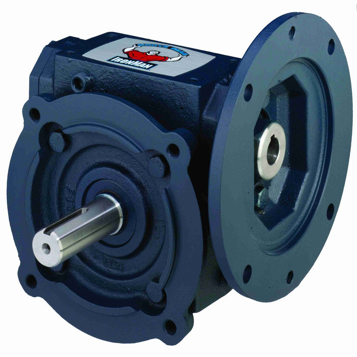 GR-CMQ813-30-L-56 Cast Iron Single-Reduction Worm Reducer