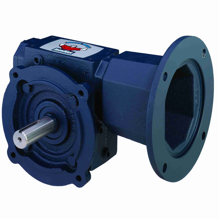 GR-CM813-5-L-56 Cast Iron Single-Reduction Worm Reducer