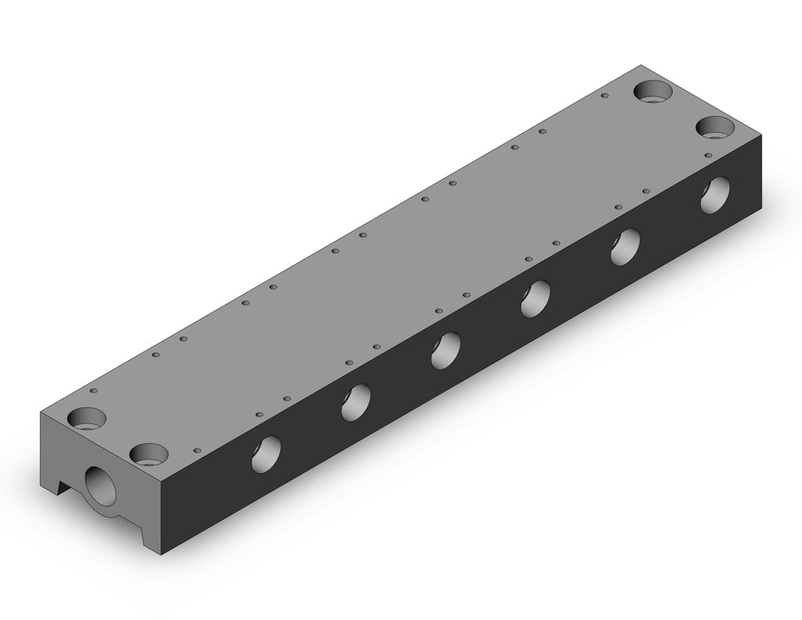 IITV20-03-6 Standard ITV Manifold Assembly