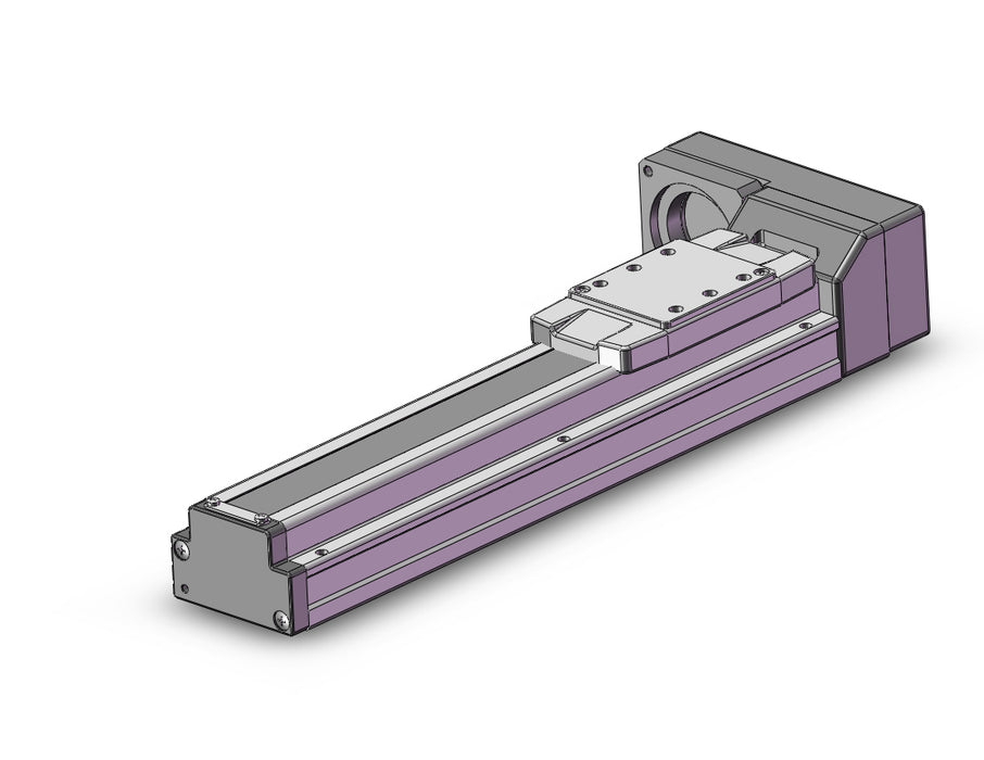 LEFS32RNZH-200 Ball Screw Drive Actuator