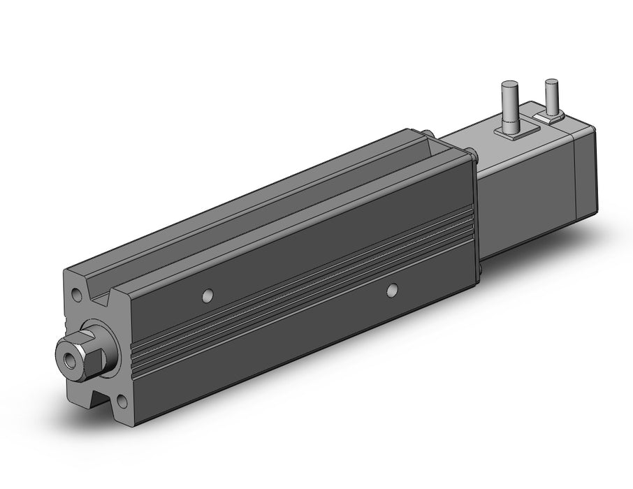 LEPY10LK-75 Miniature Rod Type