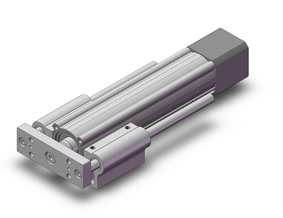 LEYG25LDNYB-100 Guide Rod Type Electric Actuator