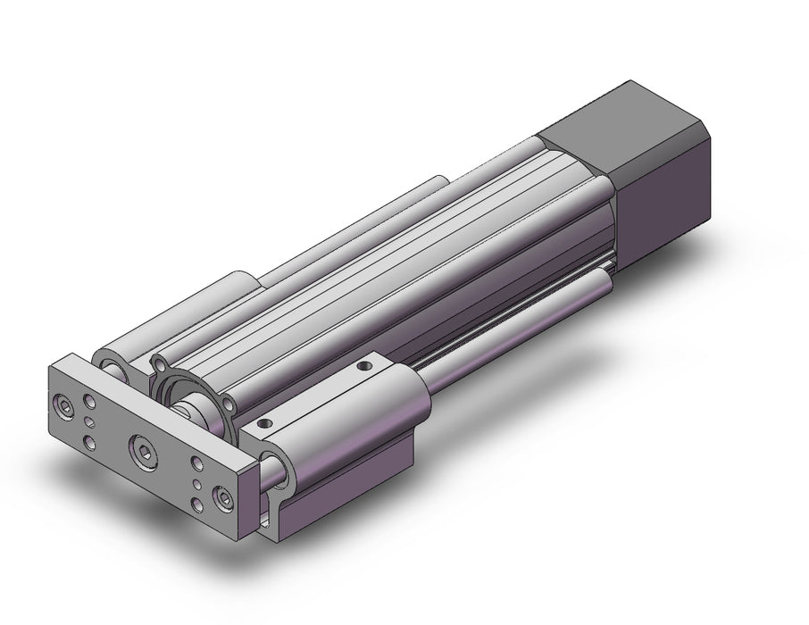 LEYG25LDNZA-100 Guide Rod Type Electric Actuator