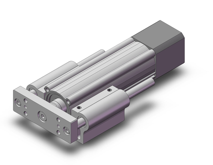 LEYG25LDNZA-50 Guide Rod Type Electric Actuator