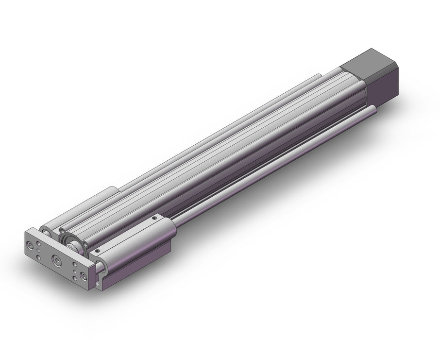 LEYG25LDNZB-300 Guide Rod Type Electric Actuator