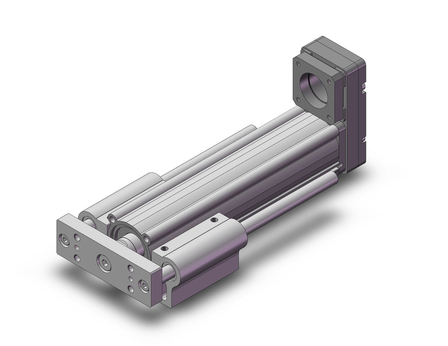 LEYG25LNM1C-100 GUIDE ROD TYPE ELECTRIC ACTUATOR
