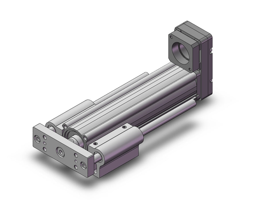 LEYG25LNZB-100 Guide Rod Type Electric Actuator