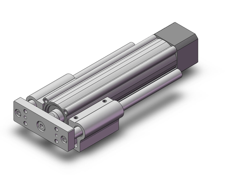 LEYG25MDNM1A-100 Guide Rod Type Electric Actuator