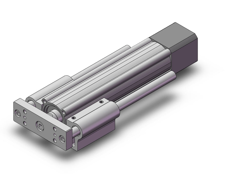 LEYG25MDNZA-100 Guide Rod Type Electric Actuator