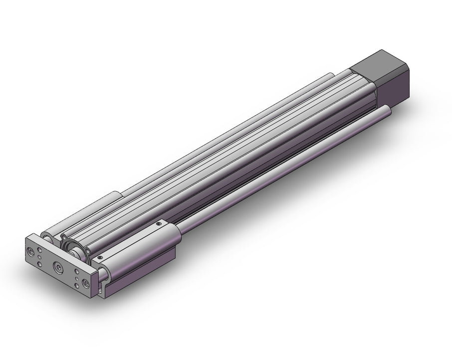 LEYG25MDNZA-300 Guide Rod Type Electric Actuator